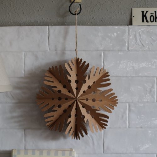 Schneeflocke natur groß