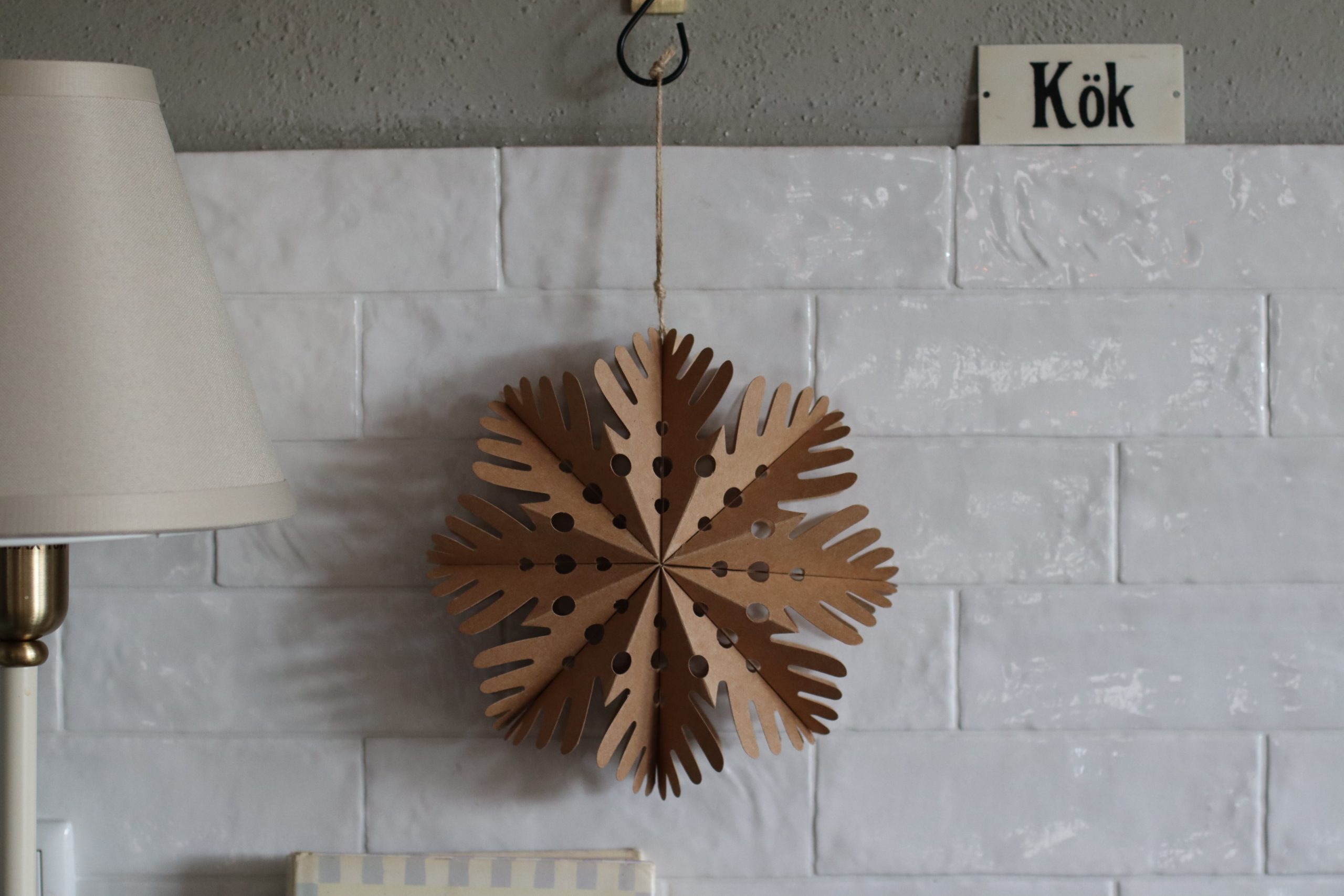 Schneeflocke natur groß